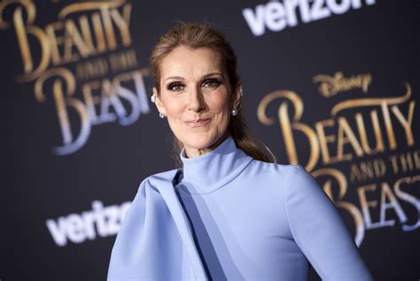 celine dion's interview about children's clothing line|Céline Dion explains inspiration behind gender.